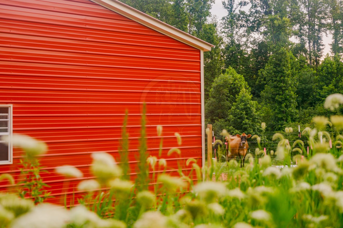 Barn Red metal building